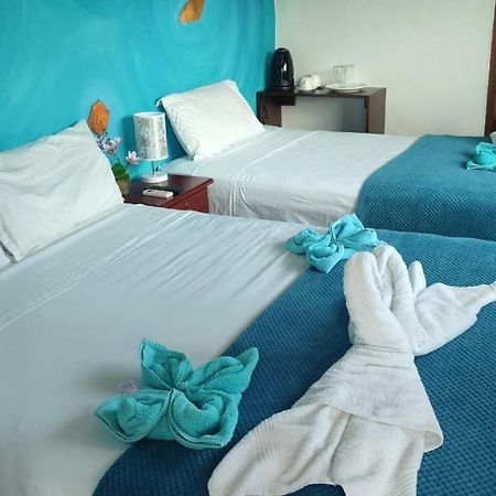 Puerto Ayora Island Hotel Bagian luar foto